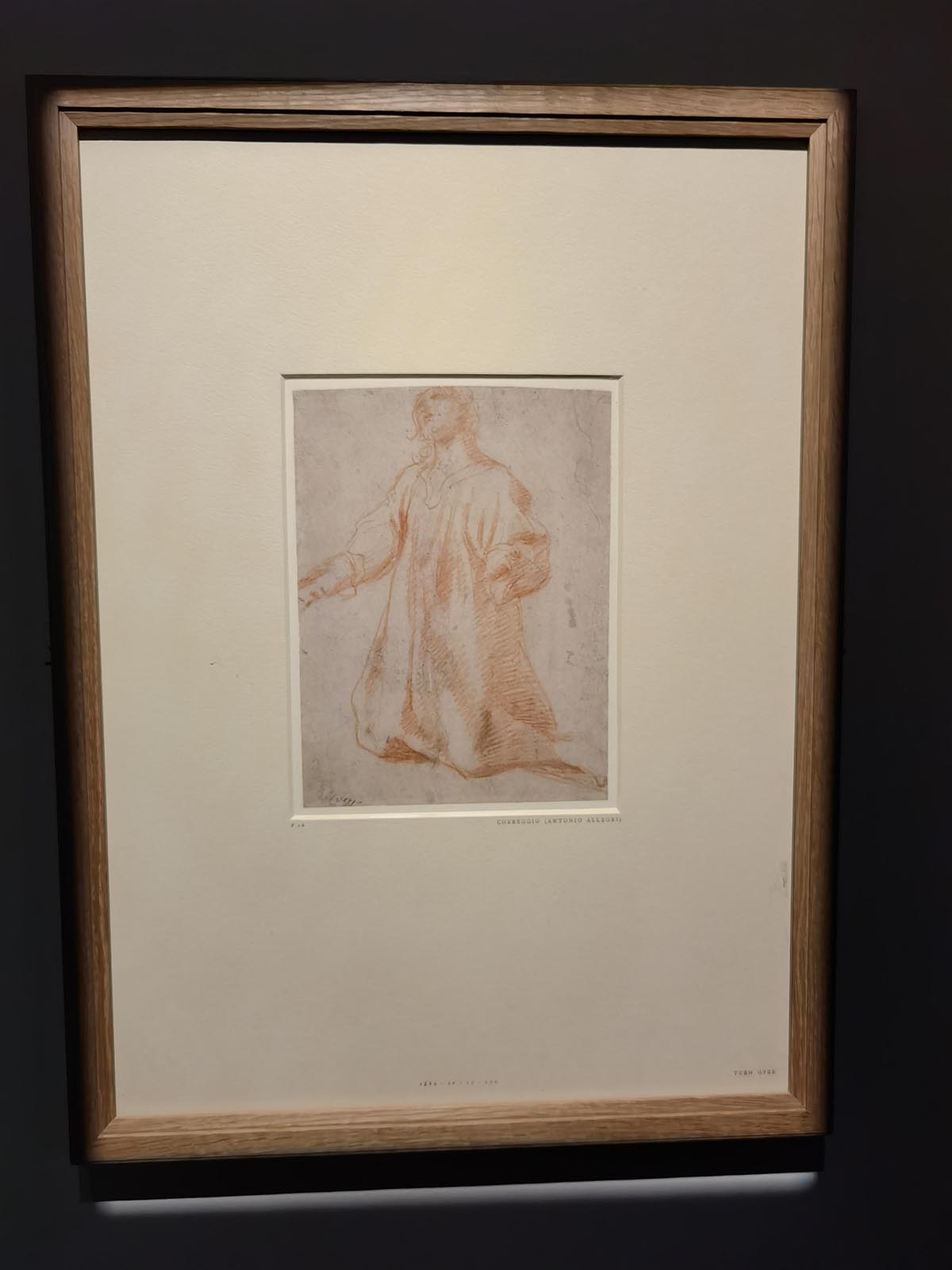 images/art/2021-11-21 意大利文艺复兴纸上绘画/21.jpg